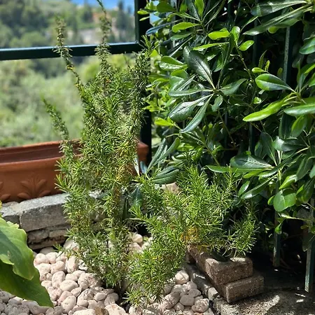 Casa Lella